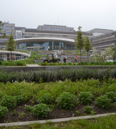 AMC terreininrichting